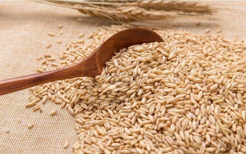 Yến mạch nguyên hạt giữ được giá trị dinh dưỡng cao